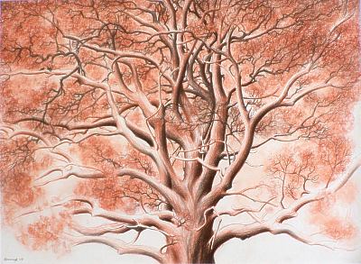 Gro&szlig;er Baum von Alexander Kowarzyk - Zeichnung mit R&ouml;tel und schwarzem Stift